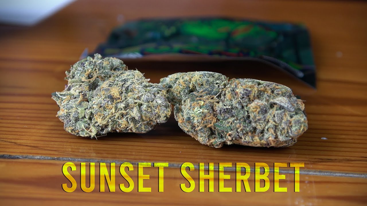 Sunset Sherbet Marijuana Monday AT THE CANNABAR!