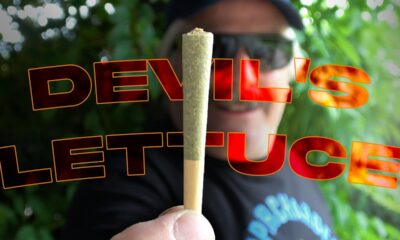 Uncle Bob's Devil's Lettuce Pre-Roll Marijuana Monday