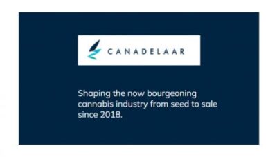Cronos Group to Buy Netherlands Cannabis Company – New Cannabis Ventures