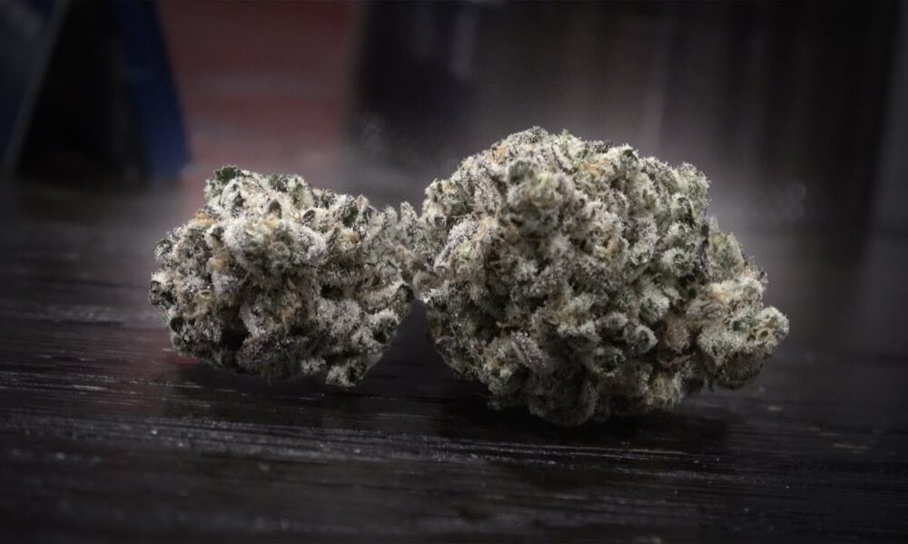 Cold Snap Marijuana Monday