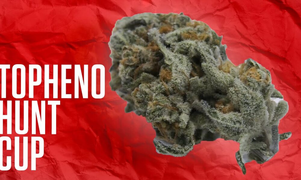 Gastown Topheno Hunt Cup Judges Kit