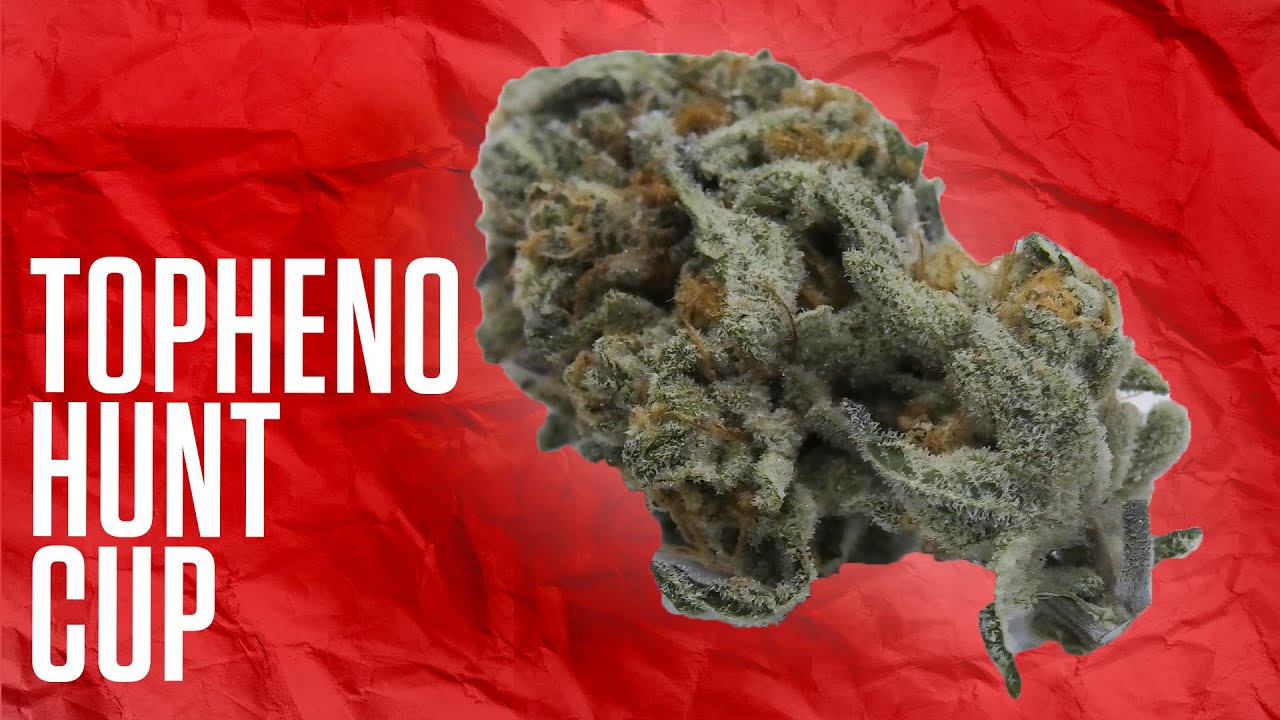 Gastown Topheno Hunt Cup Judges Kit