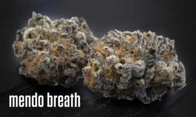 Mendo Breath Marijuana Monday