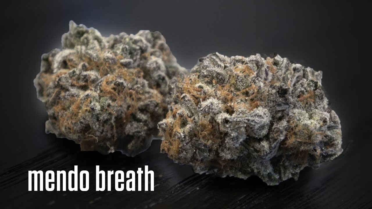Mendo Breath Marijuana Monday