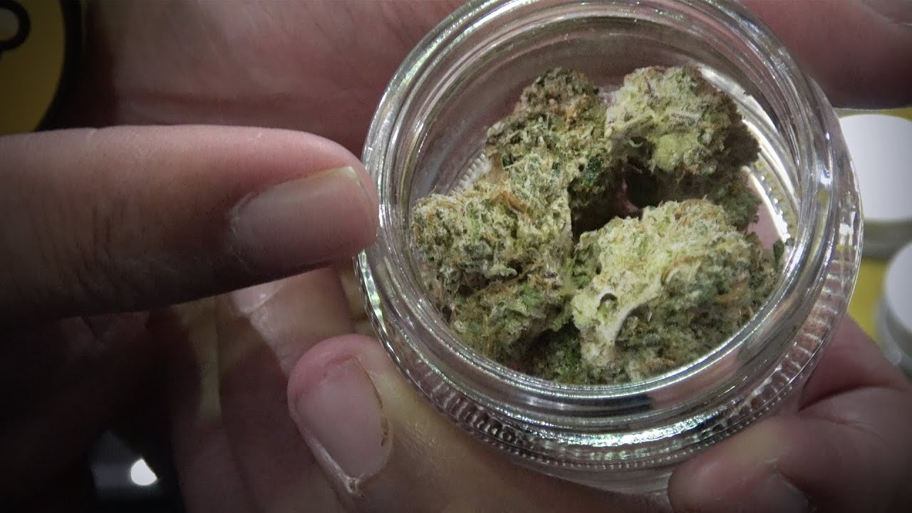 Spannabis 2023 Big Buddha Interview