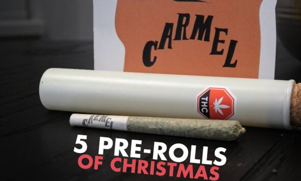 The 5 Pre-Rolls of Christmas (DAY 2)