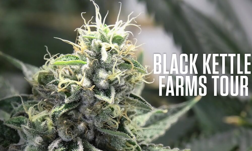 Touring Black Kettle Farms