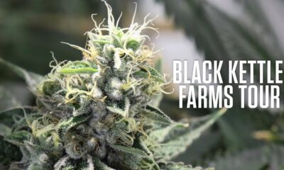 Touring Black Kettle Farms