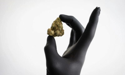 Marijuana Retail Report