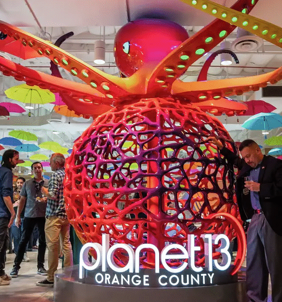 Marijuana Retail Report