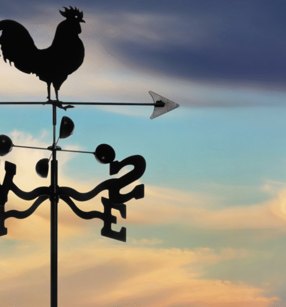 Marijuana Retail Report