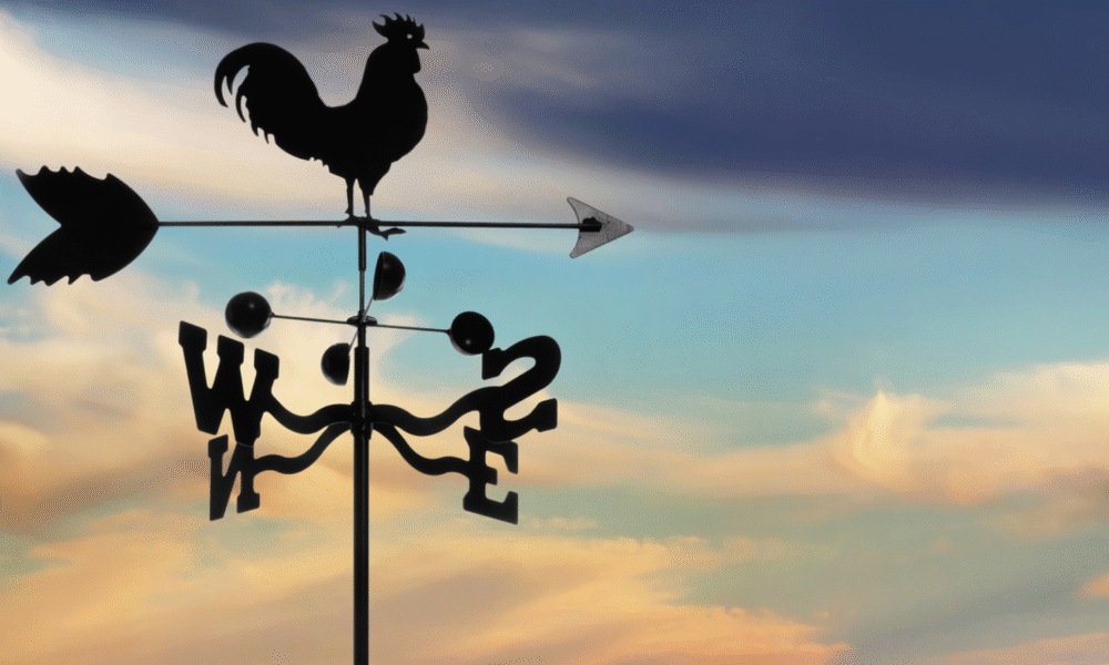 Marijuana Retail Report