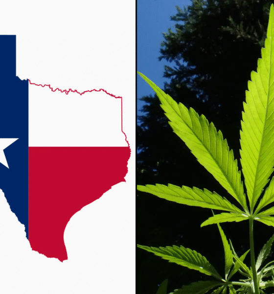 Marijuana Retail Report