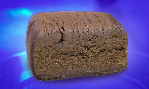 Black Ontario Hash Wednesday