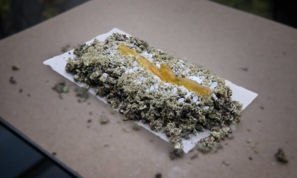 Federal Decriminalizing Celebration Supercharged Joint!! (It’s a start)