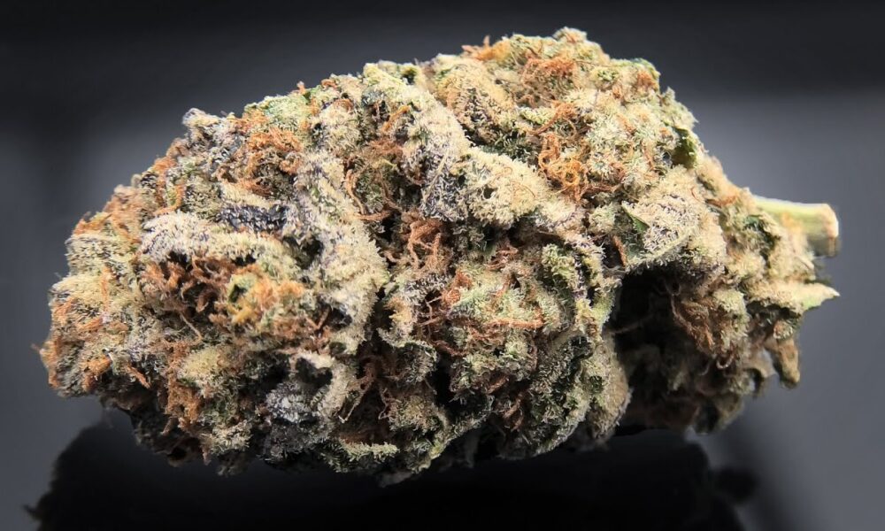 Garlic OG Marijuana Monday