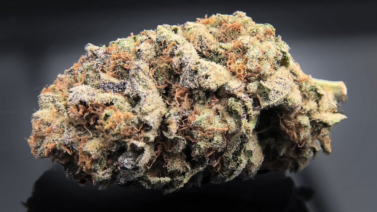 Garlic OG Marijuana Monday