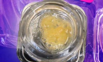 Grow Up Cannabis Cup Hash Samples