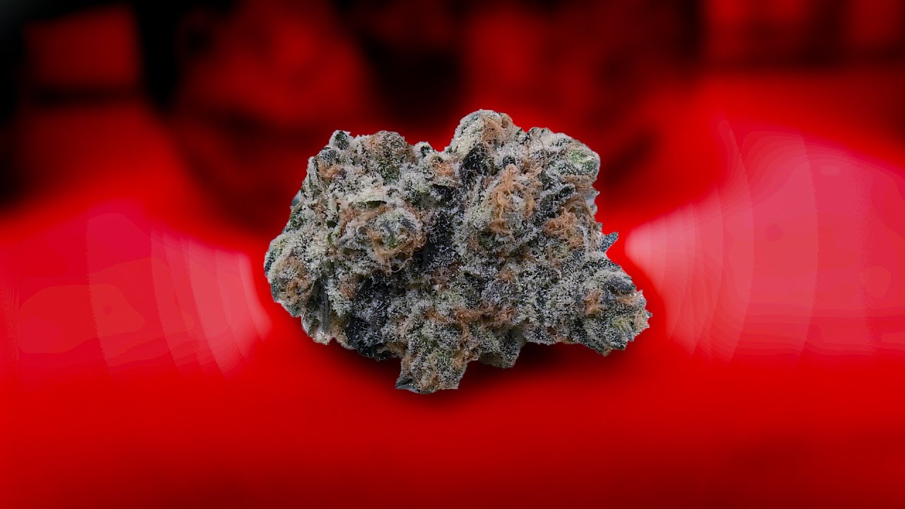 Grow Up Cannabis Cup Samples