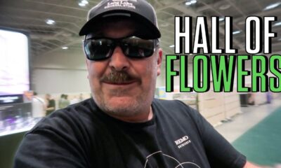 Hall of Flowers 2022 Walk Around