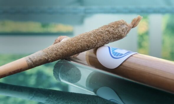 Headwater Supercharged Saturday!