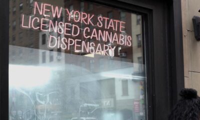 In NY, John Kagia Could Be Tapped To Lead Office Of Cannabis Management