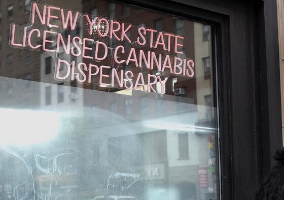 In NY, John Kagia Could Be Tapped To Lead Office Of Cannabis Management