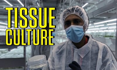 Segra Tissue Culture Tour