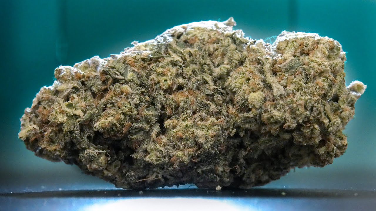 Tiger Bomb Marijuana Monday