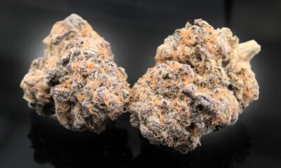 Wedding Crasher Marijuana Monday