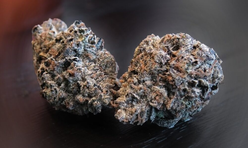 White Walker Bubba Marijuana Monday