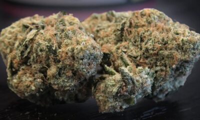 Z-Splitter Marijuana Monday