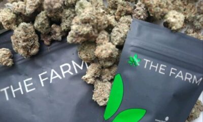 Marijuana Retail Report