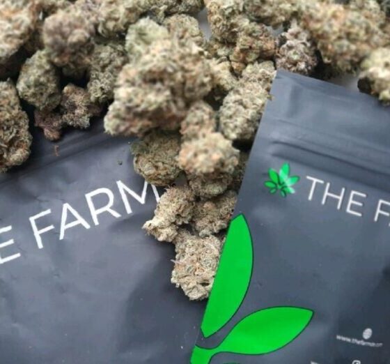 Marijuana Retail Report