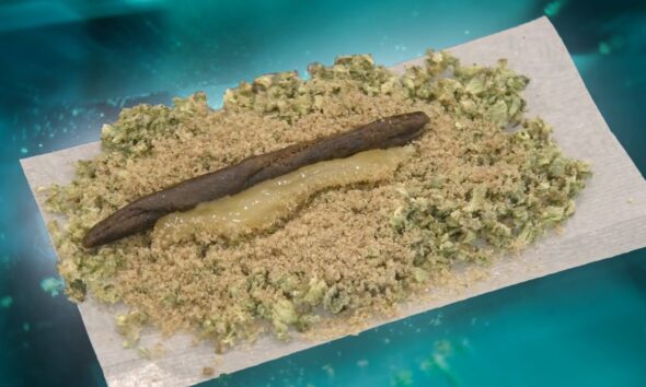 SUPERCHARGED SATURDAY!