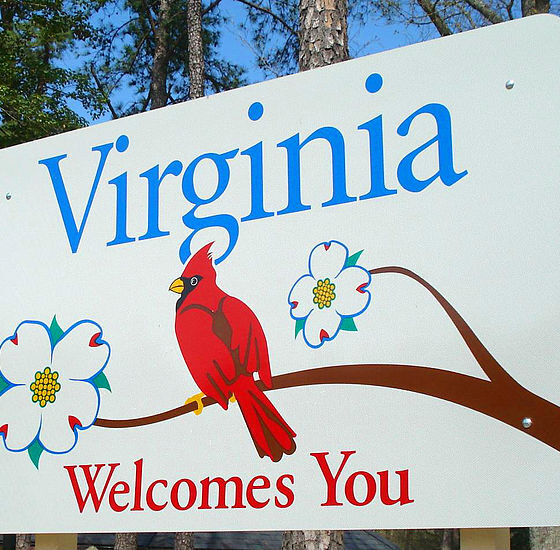 Marijuana Retail Report