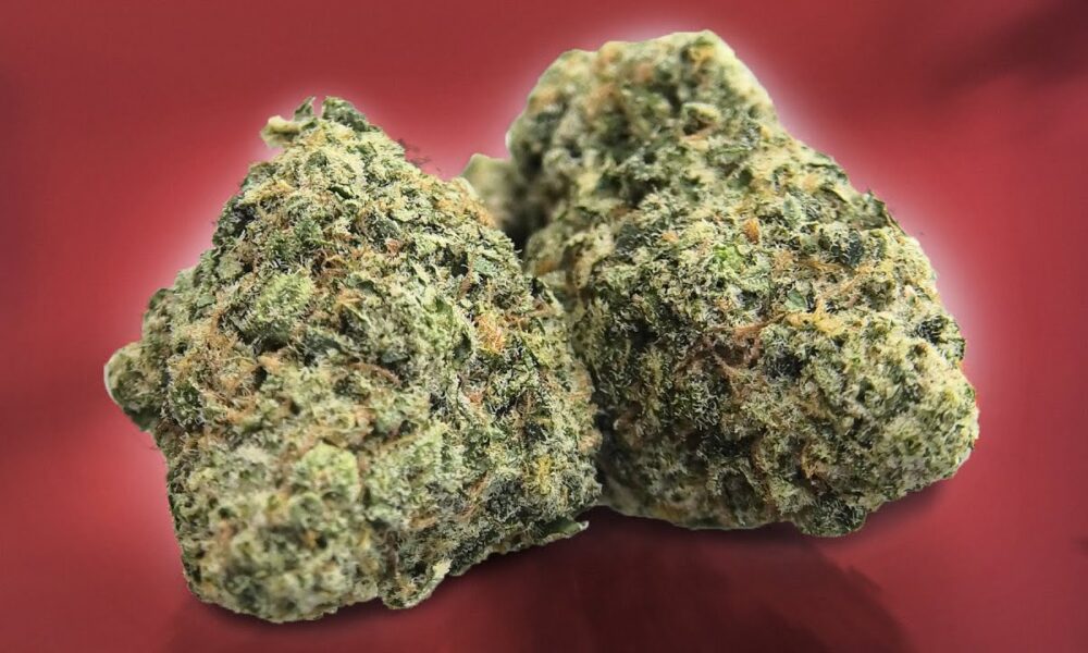 33 Splitter Marijuana Monday