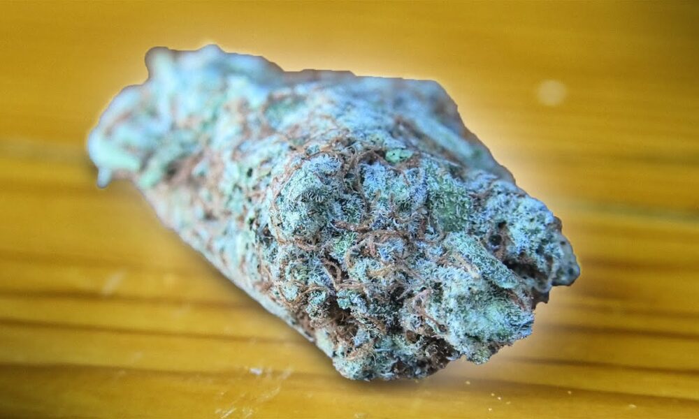 Black Candyland Marijuana Monday from the CANNABAR!