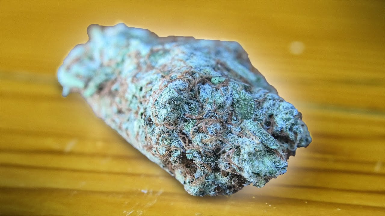 Black Candyland Marijuana Monday from the CANNABAR!