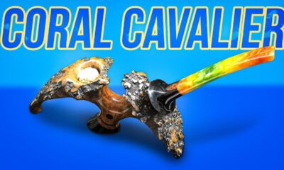 Coral Cavalier Hash Wednesday