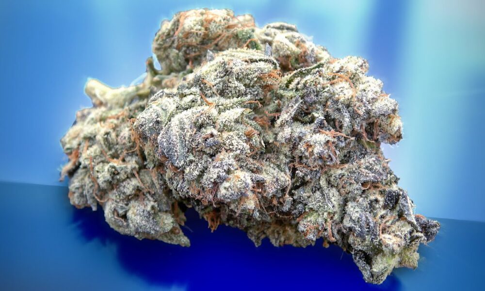 Death Reaper Marijuana Monday