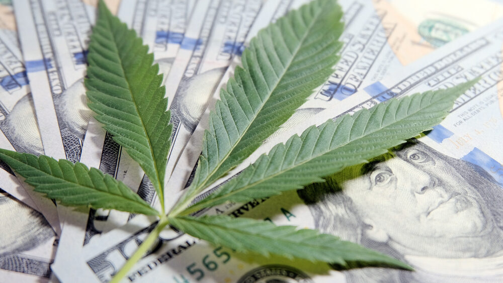 Federal Bill Would Give State-Legal Cannabis Companies Access to Banking Services