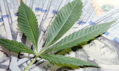 Federal Bill Would Give State-Legal Cannabis Companies Access to Banking Services