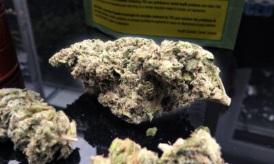 First Class Funk Marijuana Monday