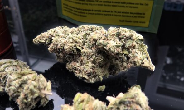 First Class Funk Marijuana Monday