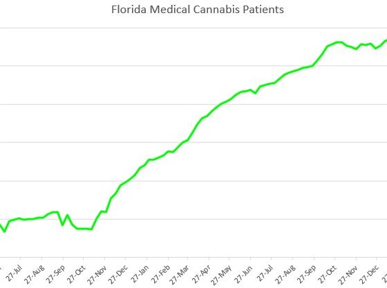 A Frightening Florida Medical Cannabis Market – New Cannabis Ventures