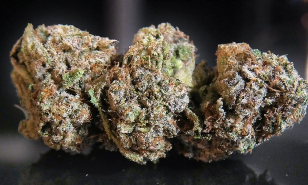 Frosted Fruit Cake Marijuana Monday at NIGHT!