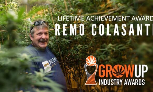 Grow Up Conference Lifetime Achievement Award