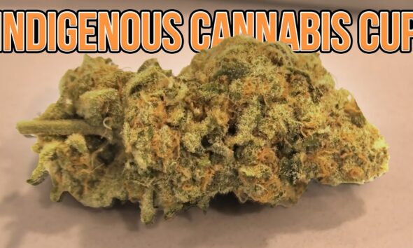 Indigenous Cannabis Cup Judges Kit