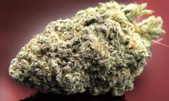 Khalifa Mints Marijuana Monday